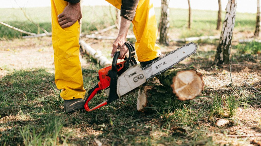 Lumberjack in yellow gear using a chainsaw to cut a tree log in a sunny forest setting.